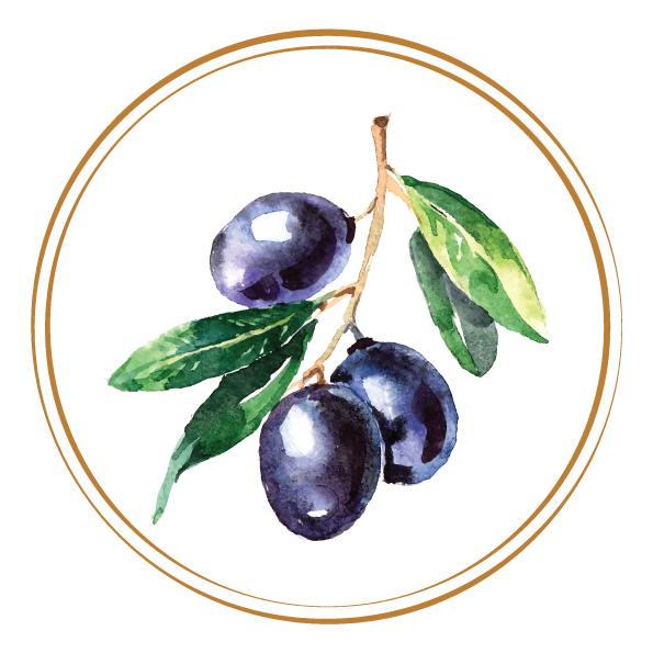 Olivo Health and Nutrition Olivo Health and Nutrition
