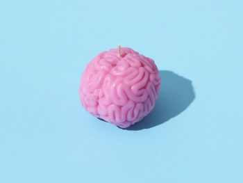 photograph of a brain on a blue surface