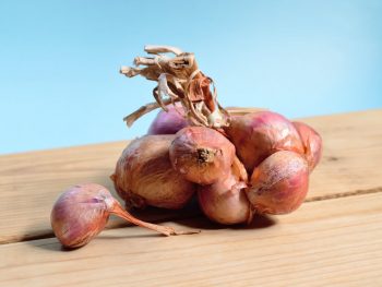 brown onions